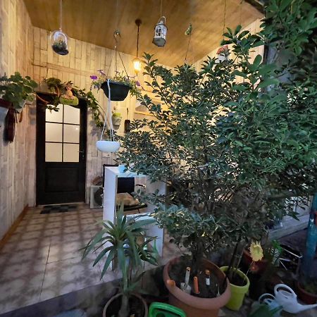 Mr Guest House Tbilisi Bagian luar foto