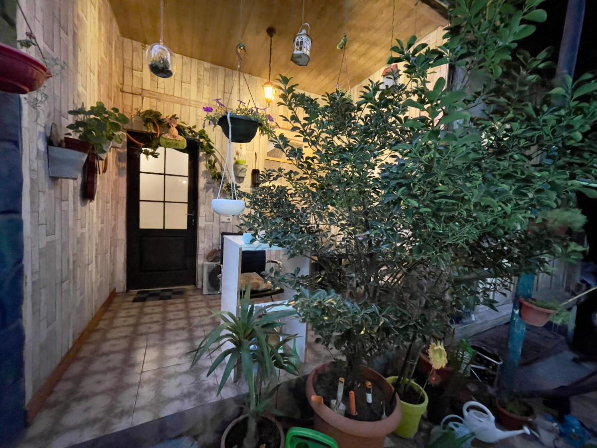 Mr Guest House Tbilisi Bagian luar foto